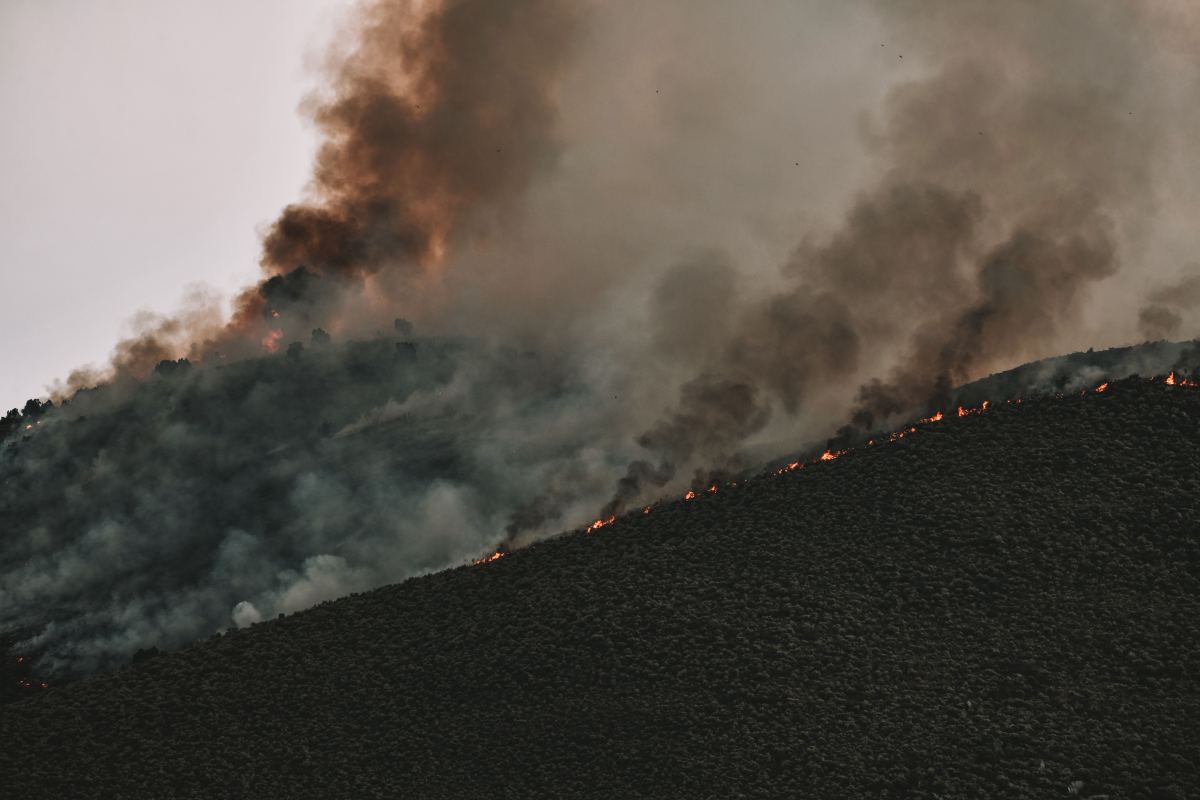 Little Fire Grows Past 1,000 Acres Near Pleasanton as Evacuations Continue — photo 4