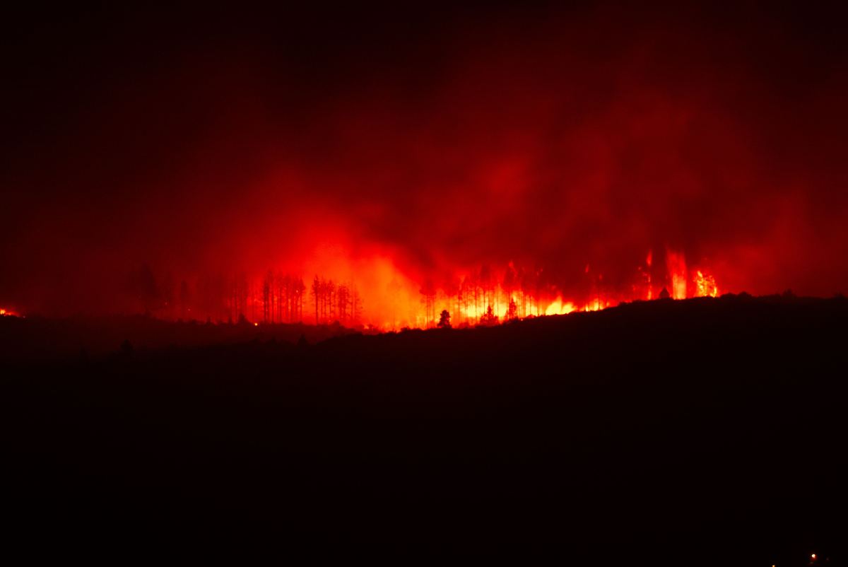 French Wildfire Creates Rare Fire Thunderstorm Near Bordeaux — photo 2