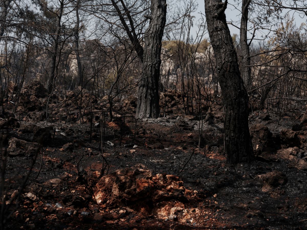 Climate Change Made Spain and France Wildfires Far More Likely — photo 2