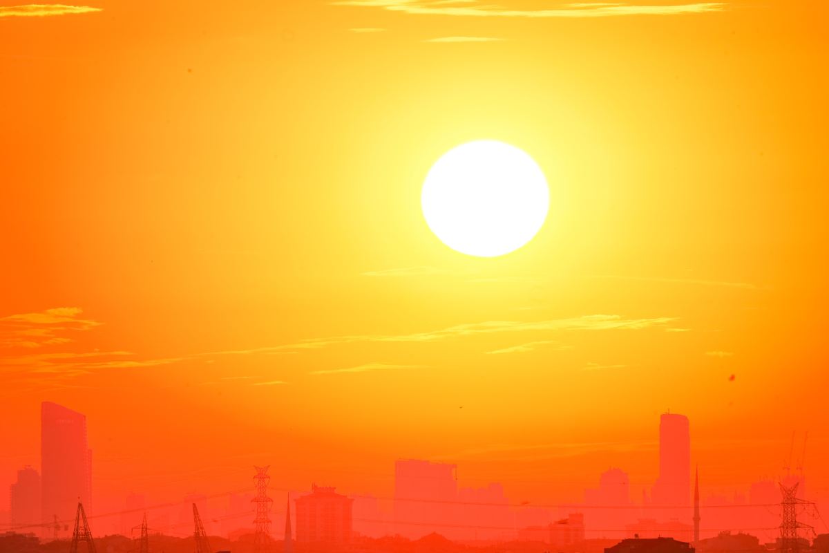 South Korea Declares Heatwave a National Disaster as Record Temperatures Raise Health Concerns — photo 2