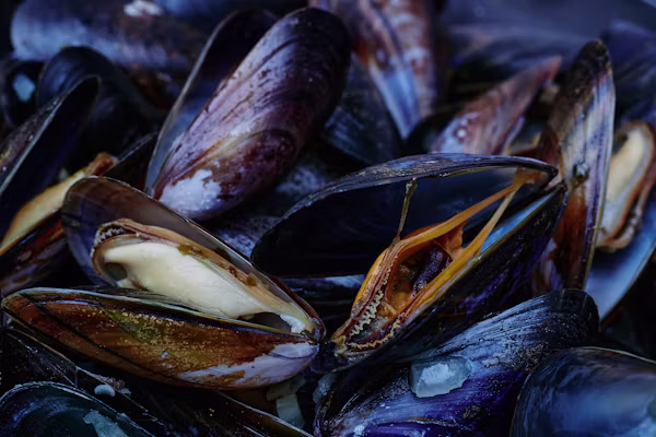 Manila Clams Origin Explained: Are They Really From the Philippines? — photo 3