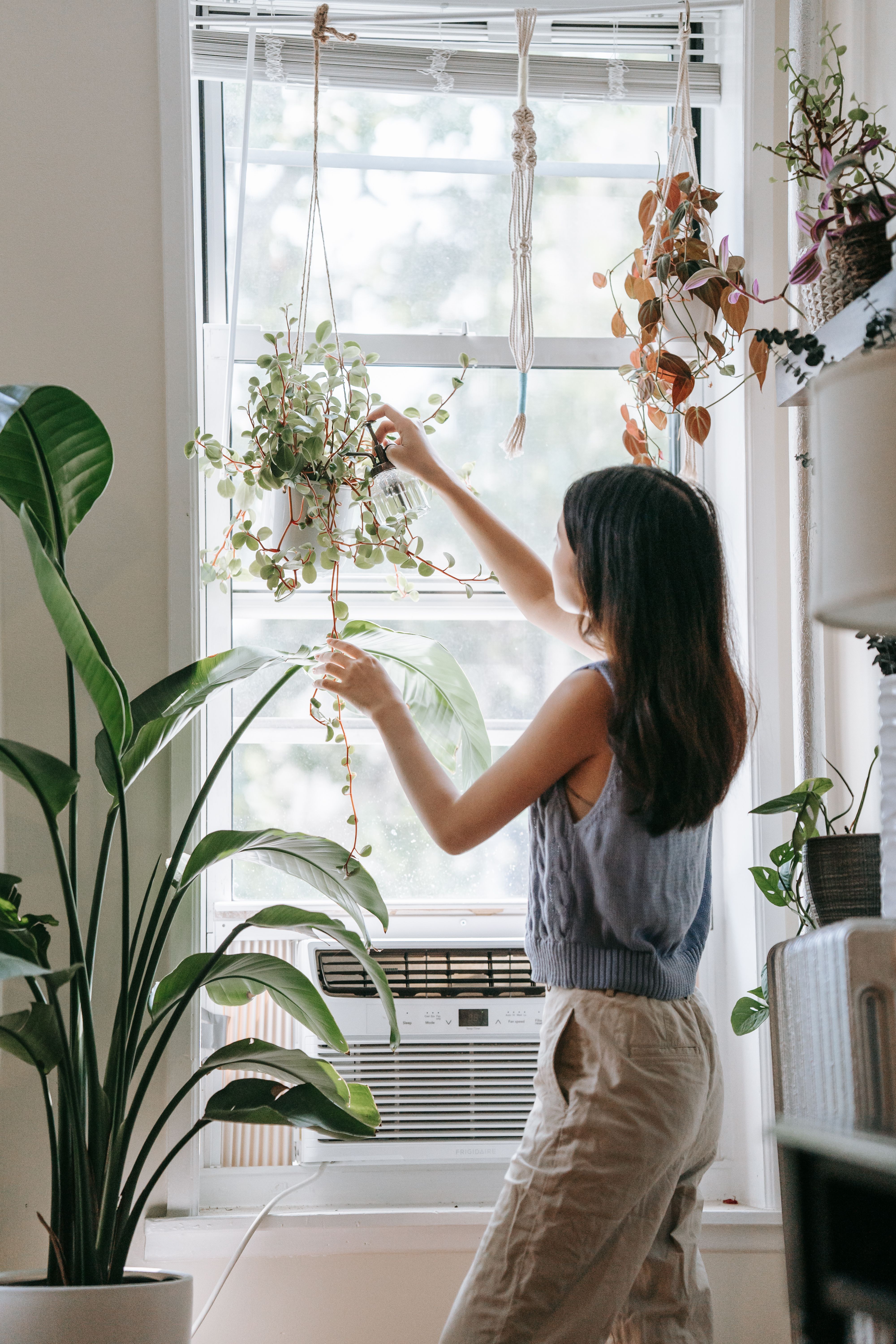 How to Keep Indoor Air Clean During Wildfire Smoke