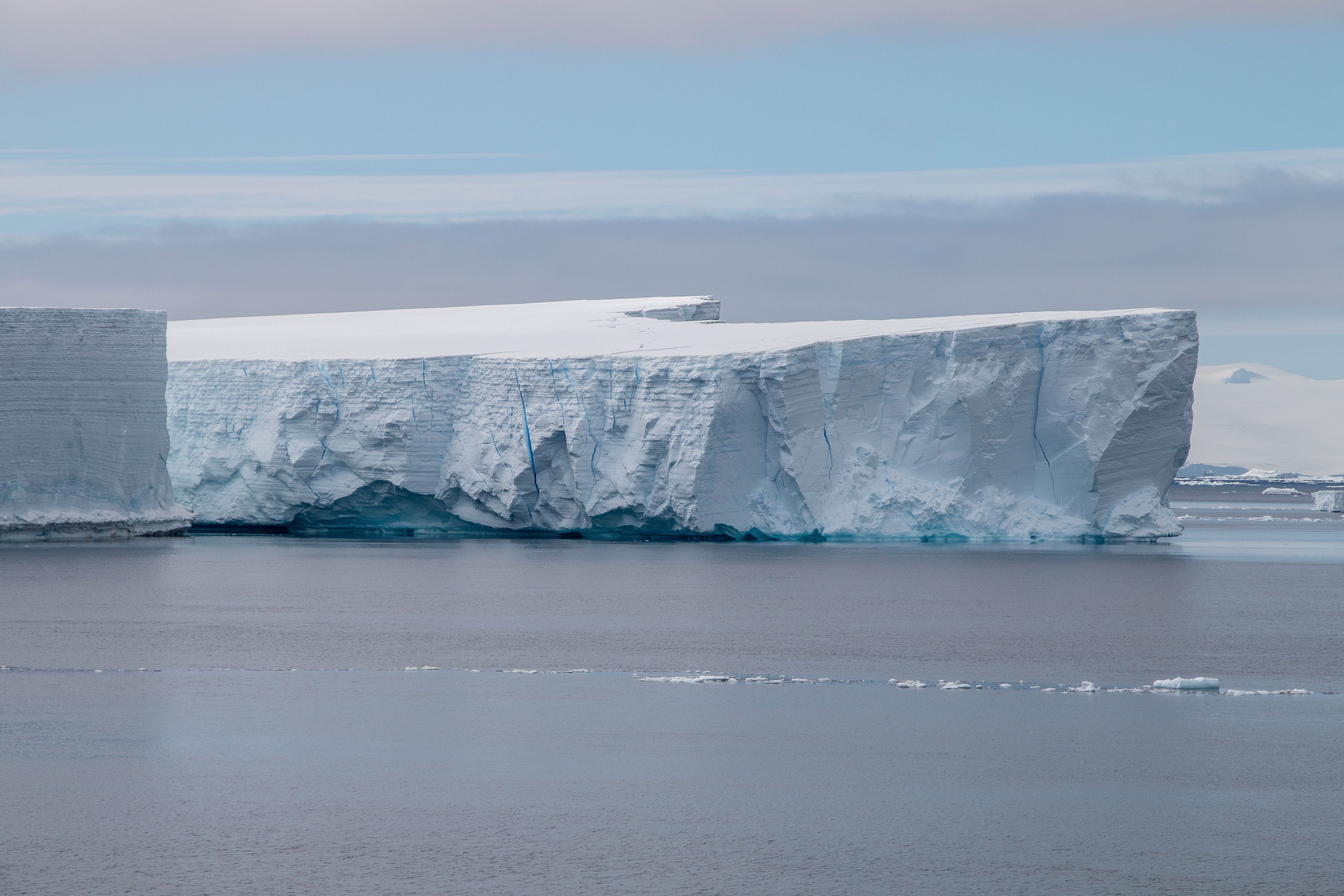 NASA-ISRO NISAR Satellite Captures Giant Bird-Shaped Ice Formation in Antarctica