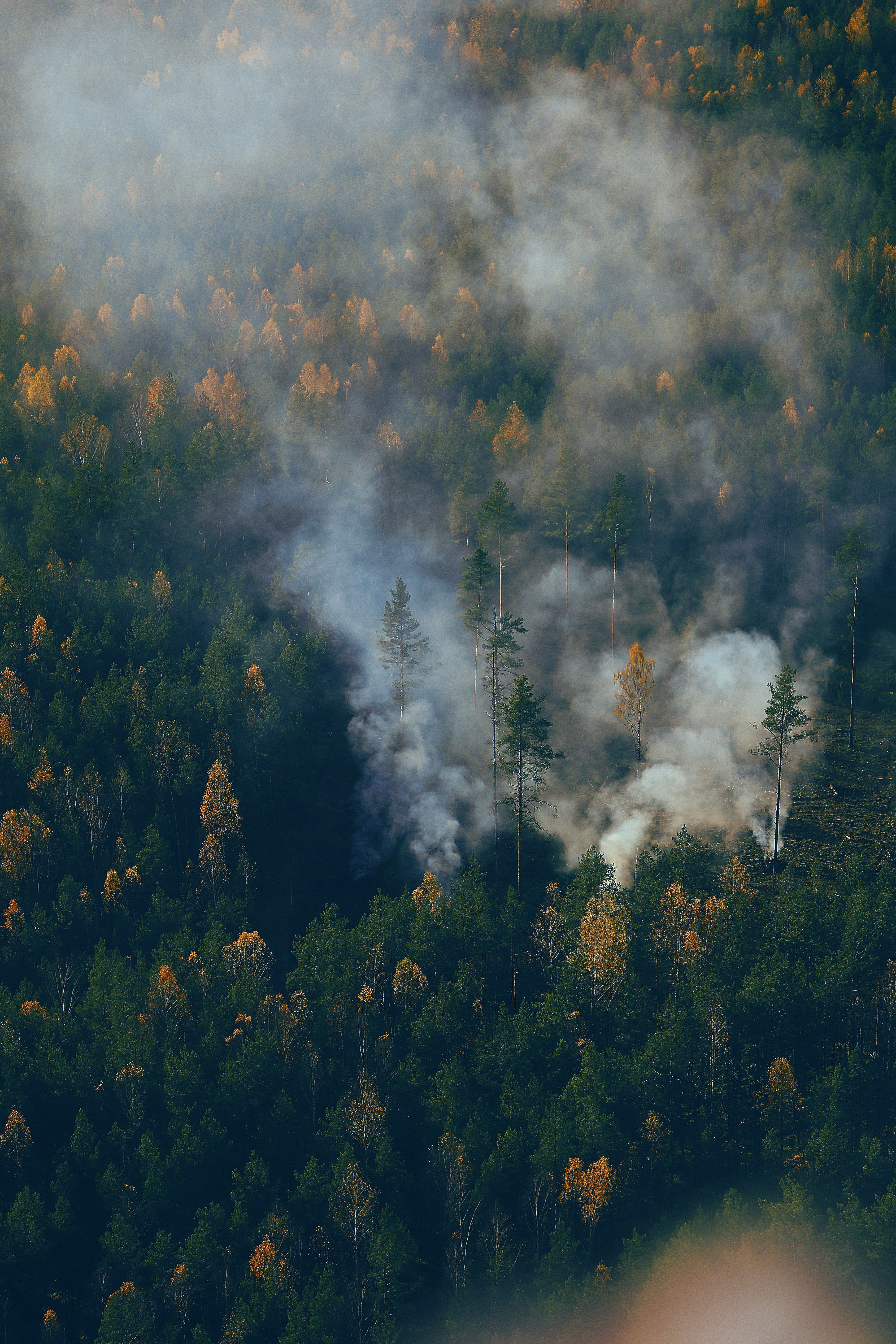 France and Spain Wildfires Force Mass Evacuations as Heatwave Intensifies