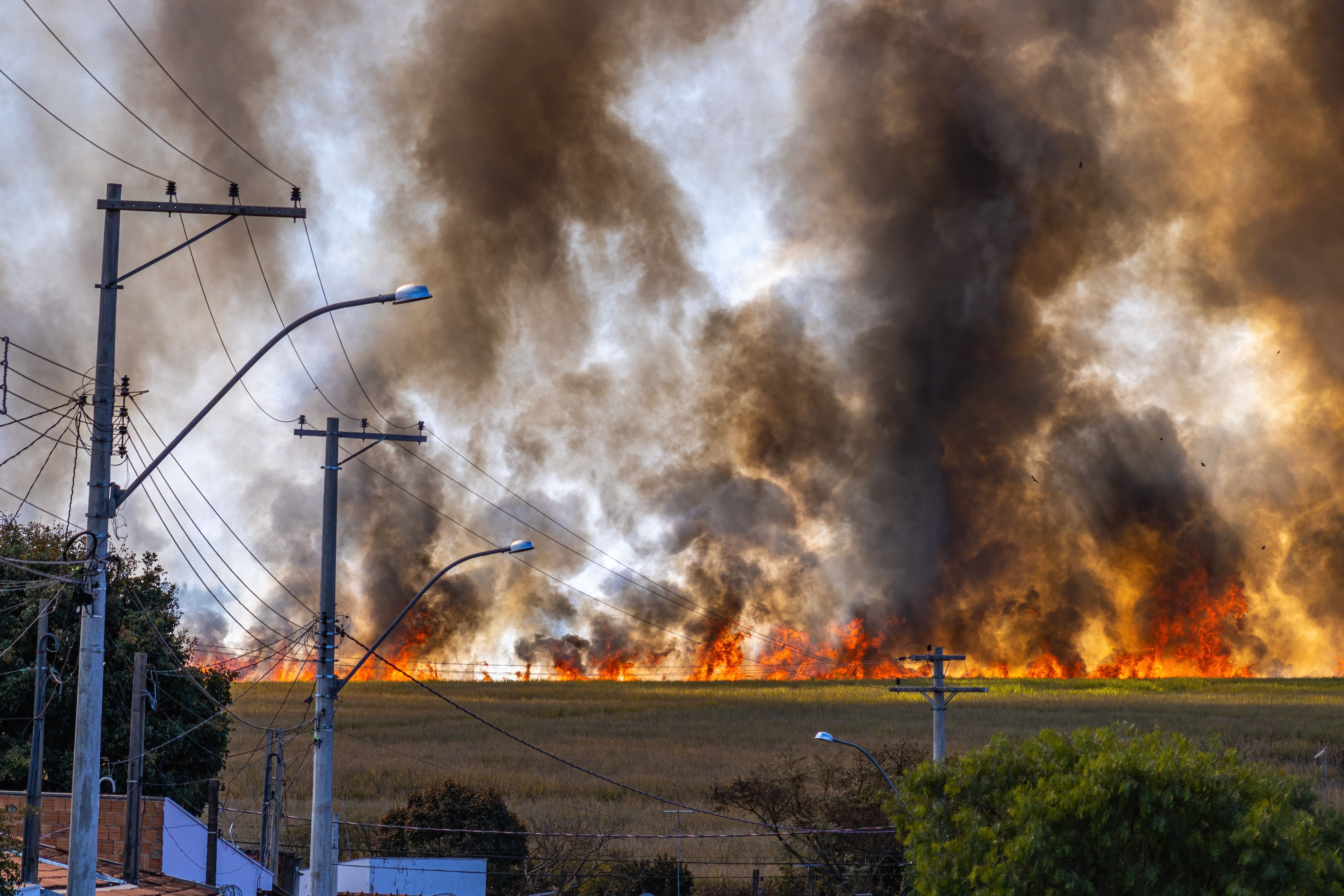 French Wildfire Creates Rare Fire Thunderstorm Near Bordeaux