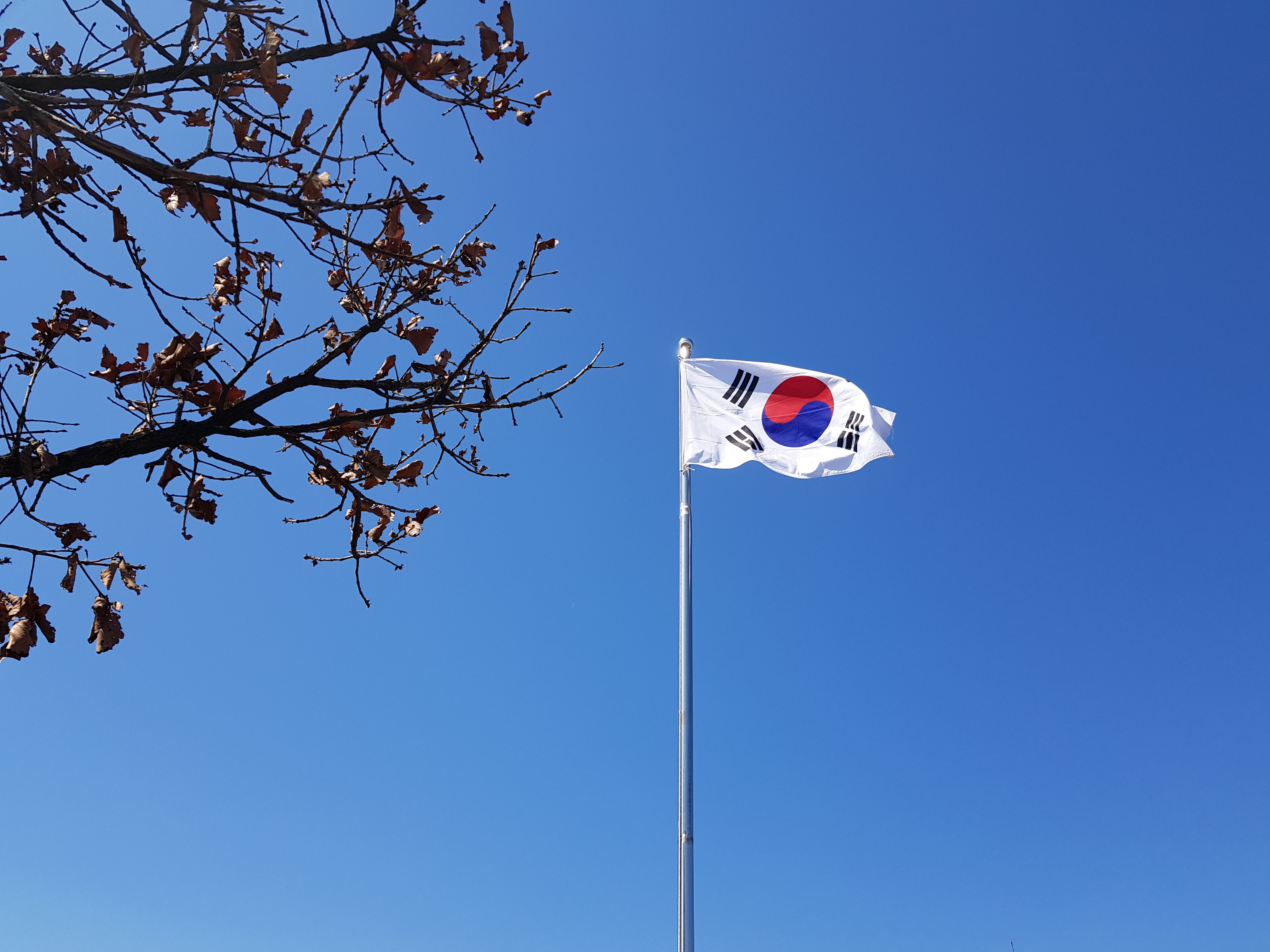 South Korea Declares Heatwave a National Disaster as Record Temperatures Raise Health Concerns
