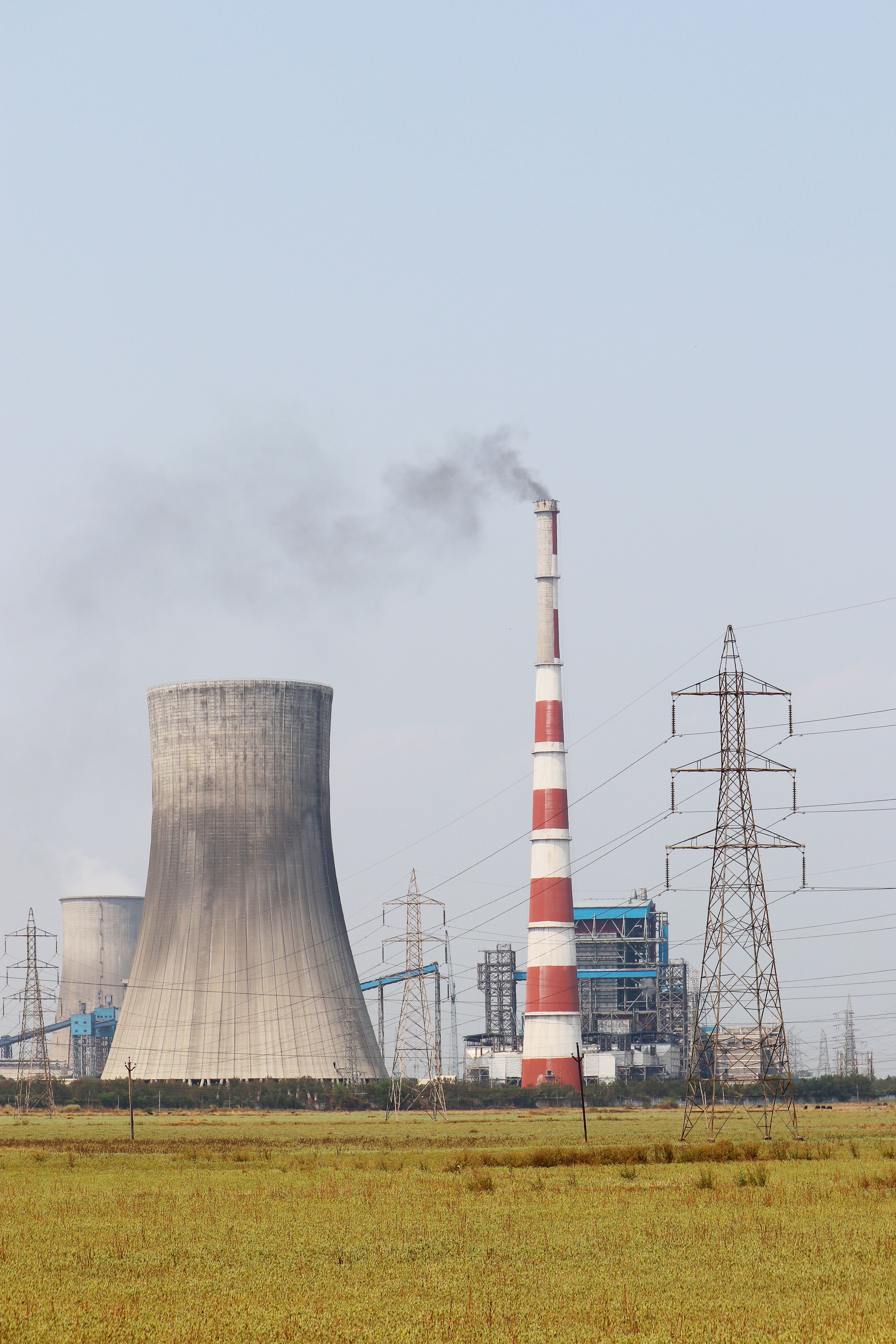 Asia's Thermal Coal Imports Rise as China Leads Demand, India Falls Behind